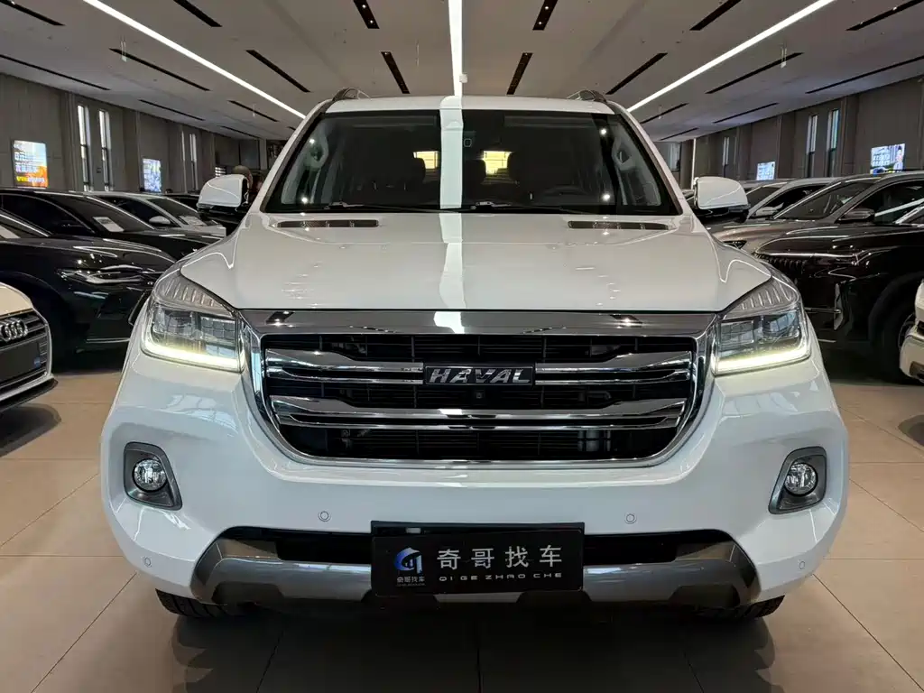 Haval H9 2020 2.0T gasoline four-wheel drive luxury 7-seater