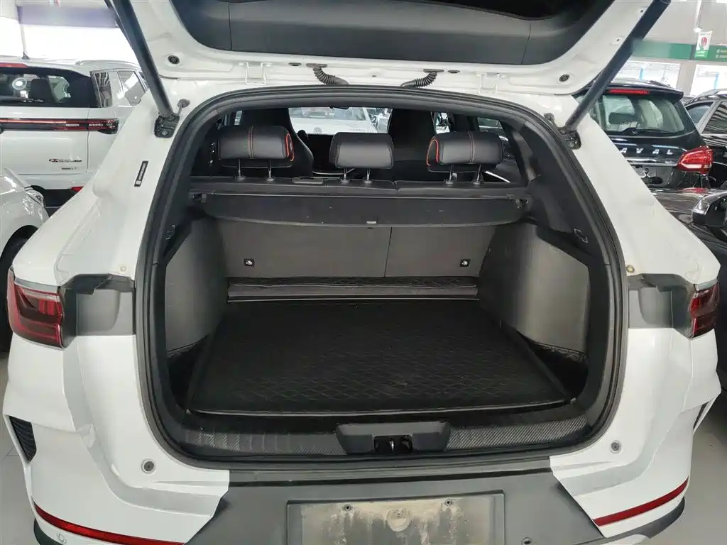 Song PLUS 2020 1.5T automatic Flagship model