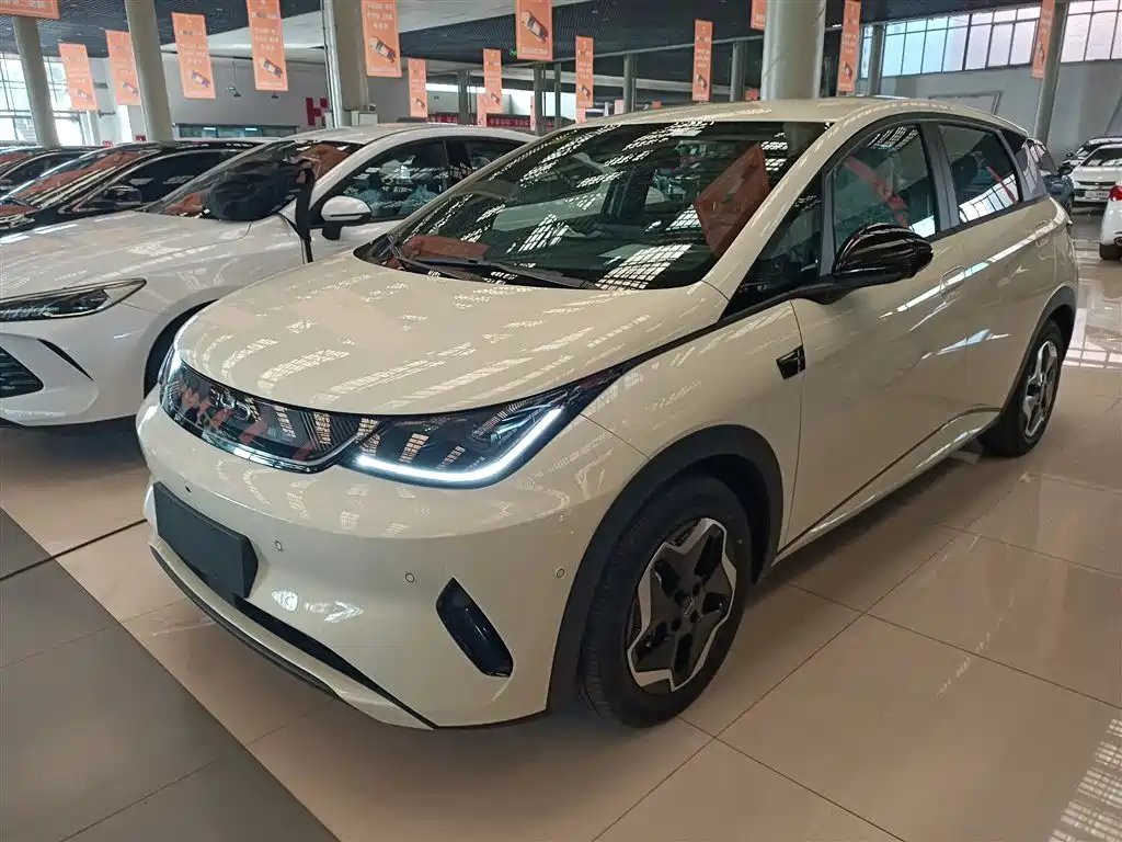 Dolphin 2025 Smart Driving Version 420km Free Version