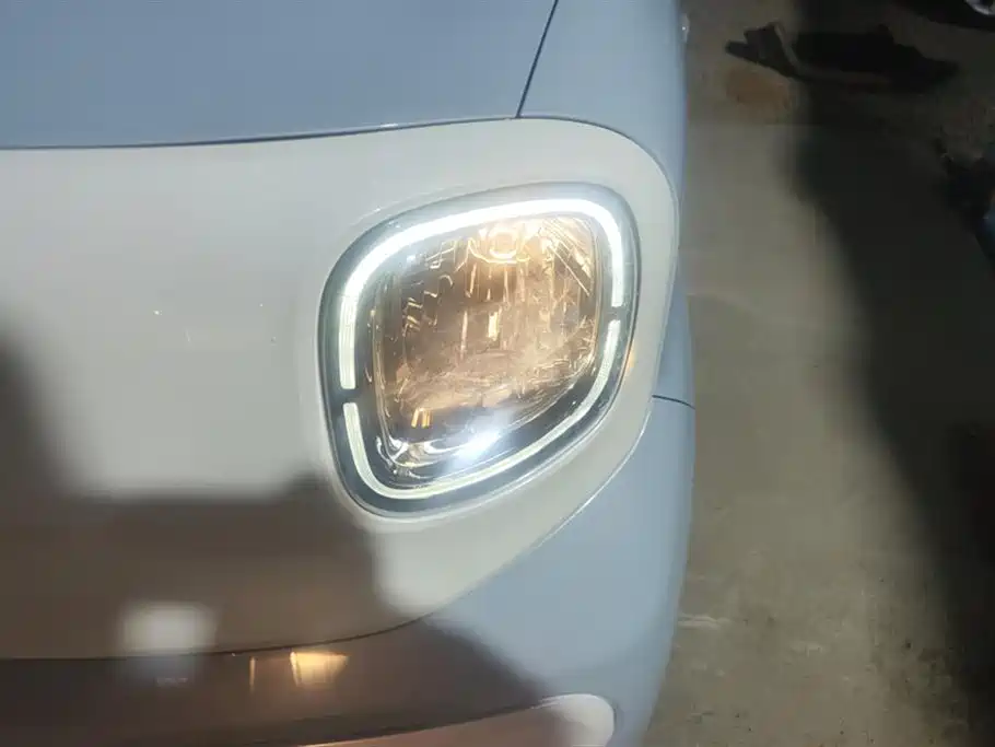 Pentium Pony 2025 222km Smart Horse