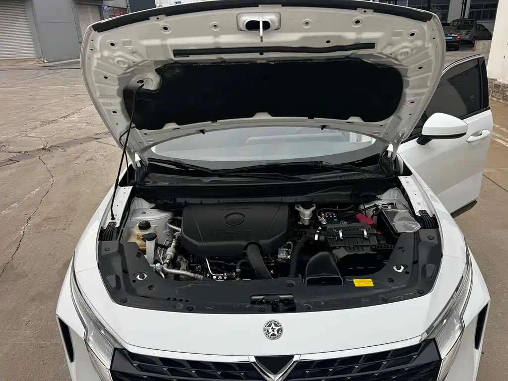 Qichen Big V 2022 260T Customized Version*Aidou