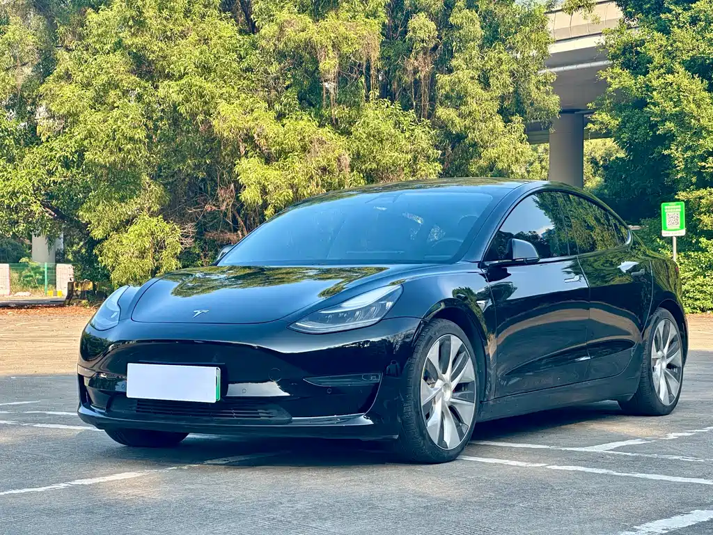 Model 3 imported 2019 Performance high-performance all-wheel drive version