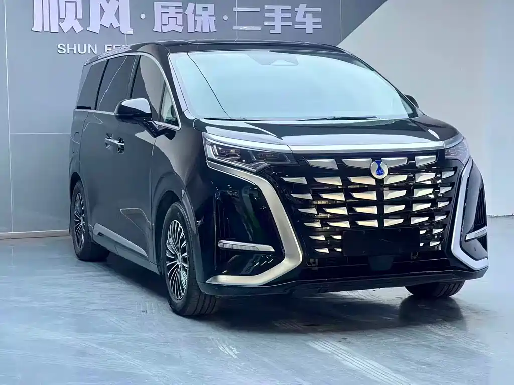 Denza D9 2023 DM-i 965 Exclusive Type