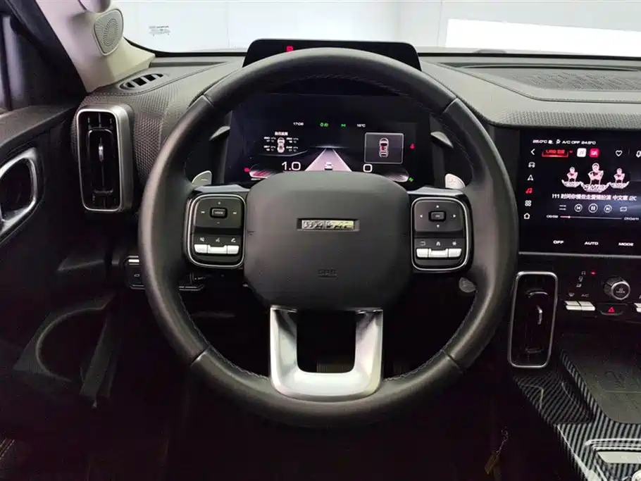 Haval Big Dog 2021 2.0T DCT Four-wheel drive Chinese Garden Dog Version