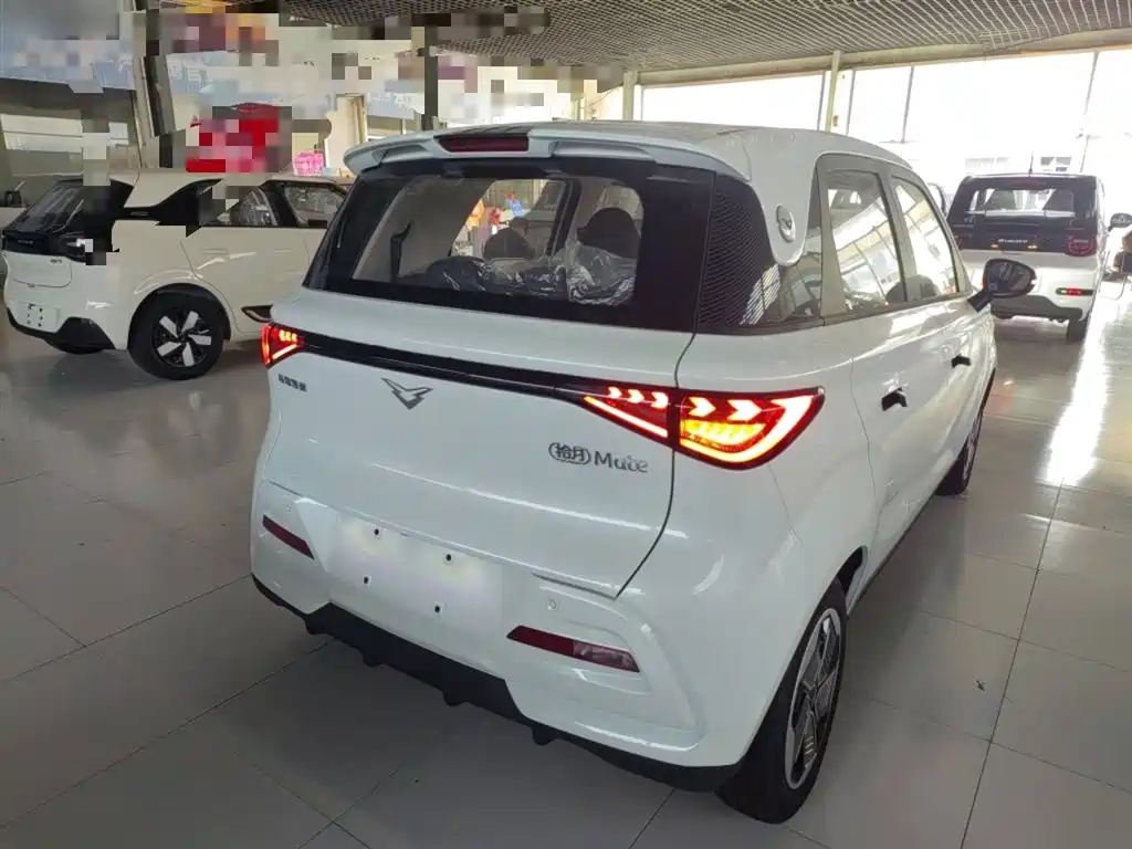 Kaiyi Shiyue 2026 Mate 305km Guoxuan Trailang Edition