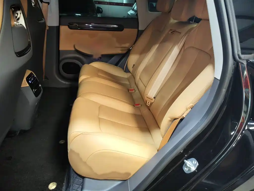 Zero run C01 2024 Pure electric 525 Exclusive Edition