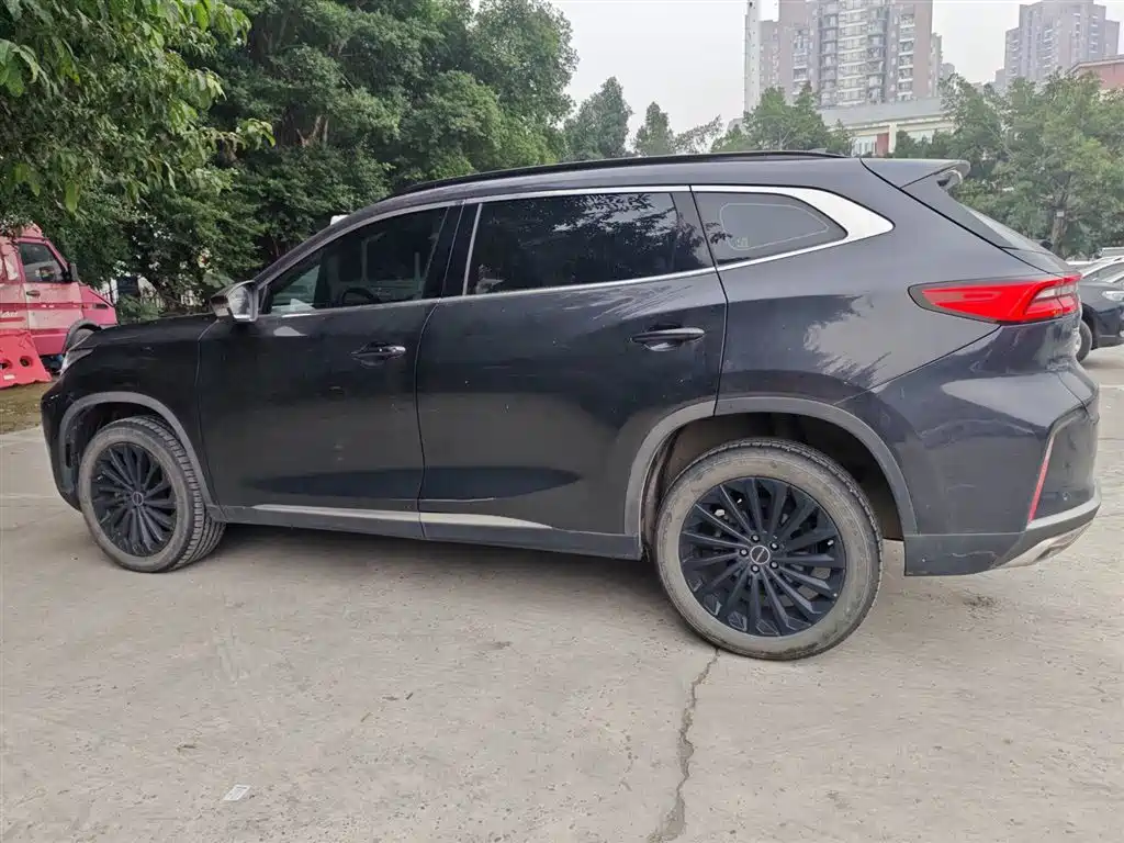 Xingtu Lingyun 2021 290T Two-wheel drive Xingyao Version