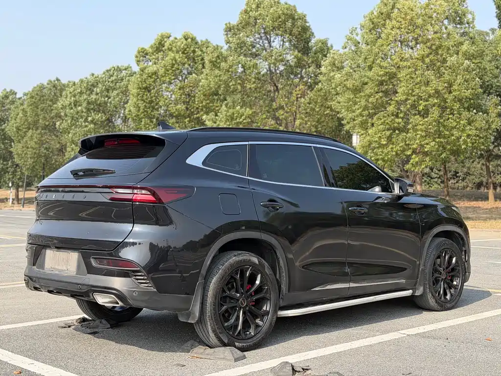 Xingtu TX 2021 Super four-wheel drive version 1.6T four-wheel drive Super No. 2