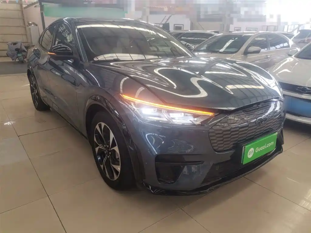 Ford Electric Horse 2021 Borderless Rear Drive Deluxe Edition Long Battery Life