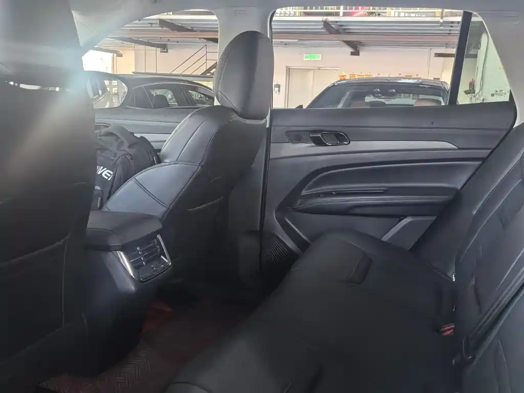 Lingrui 2022 EcoBoost 170 Platinum Collar Type