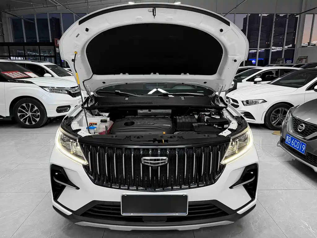 Vision X6 2021 PRO 1.4T automatic Premium type