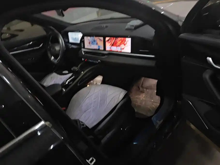 Xingyue L 2024 2.0 TD DCT EVO two-wheel drive long wind version