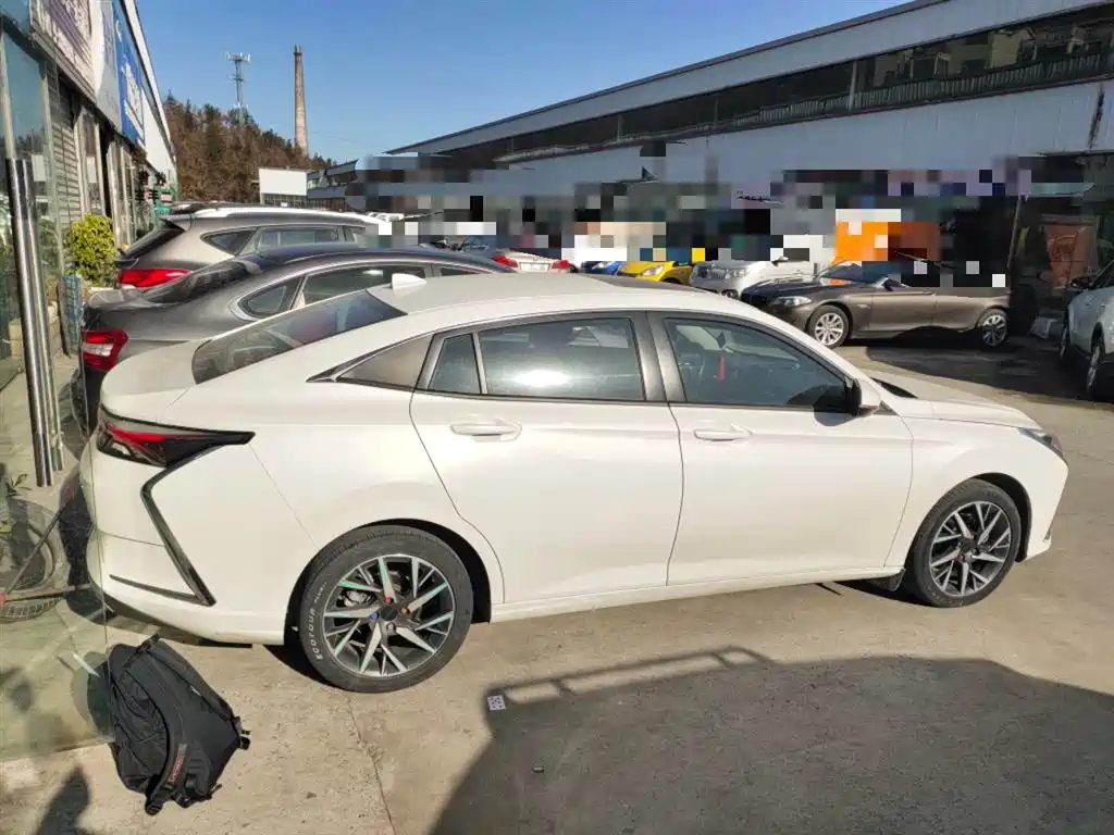 Yixuan 2020 230T Automatic Dazzling Track Version