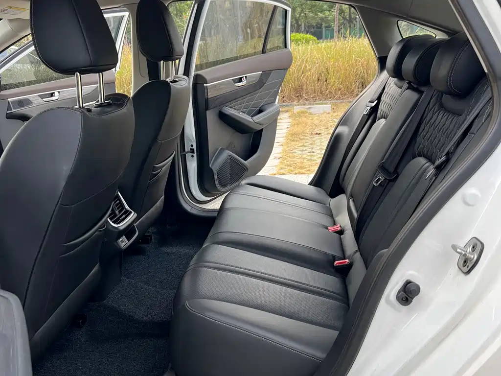 Yixuan MAX 2021 1.5T Super Spicy Dad Edition