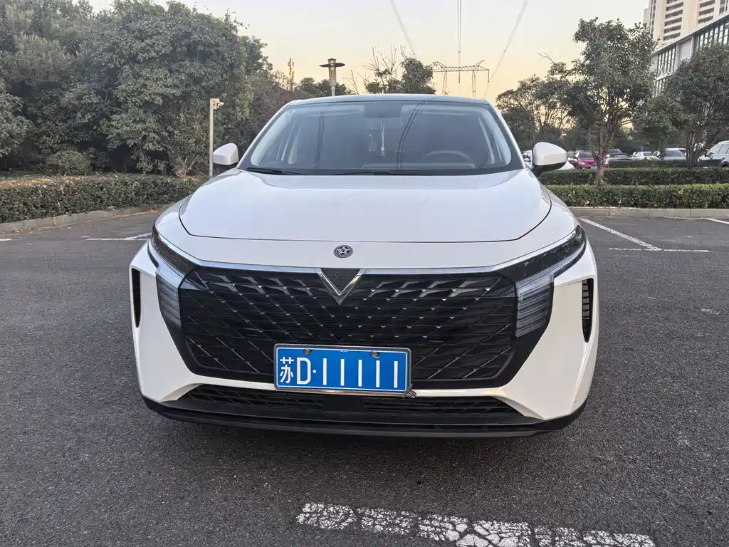 Qichen Big V 2022 260T Dark Horse Version*Aidou