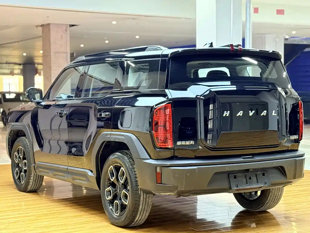 Haval Cool Dog 2022 1.5T DCT two-wheel drive tide sound version