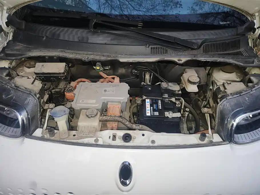 Euler White Cat 2020 Model 305km Luxury Type