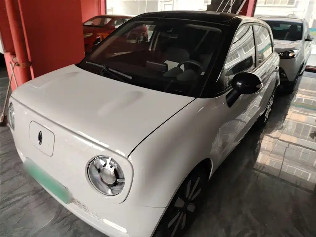 Euler Black Cat 2021 Model 351km Luxury Type