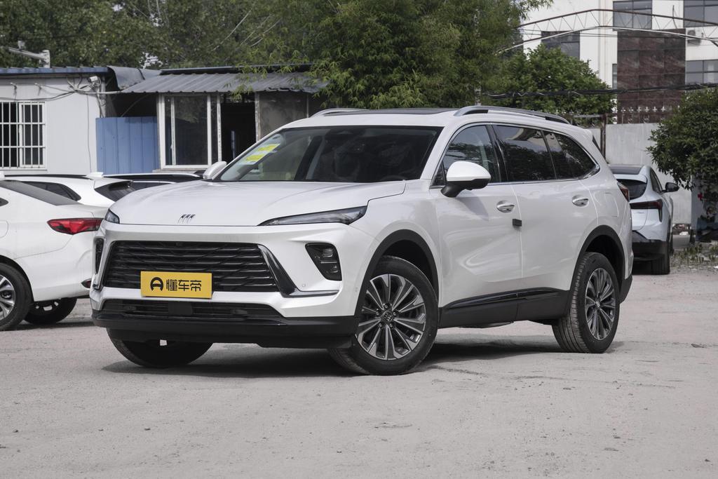 Angkewei Plus 28T Two-wheel drive Exclusive Edition