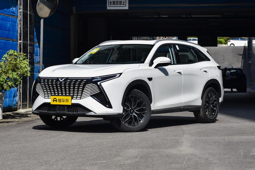 C series 1.6T Mountain Peak Version