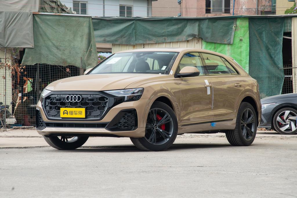 55 TFSI luxury Dynamic Type