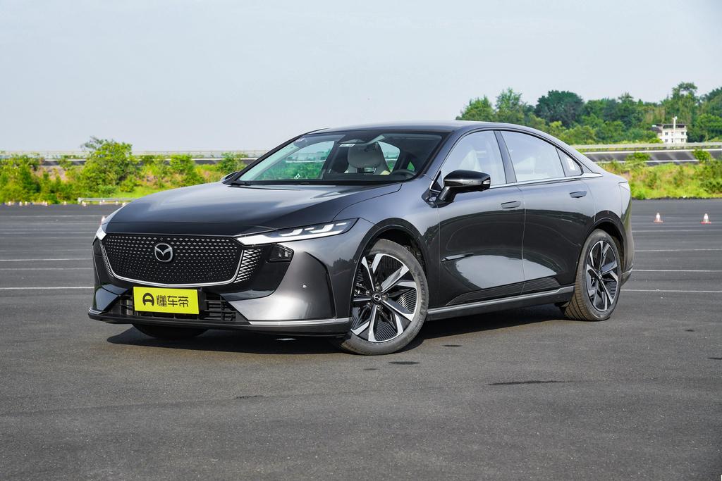 Pure Electric 480 Zhiyue Edition