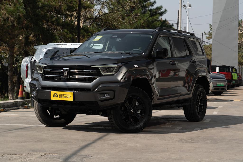 2.0T gasoline version