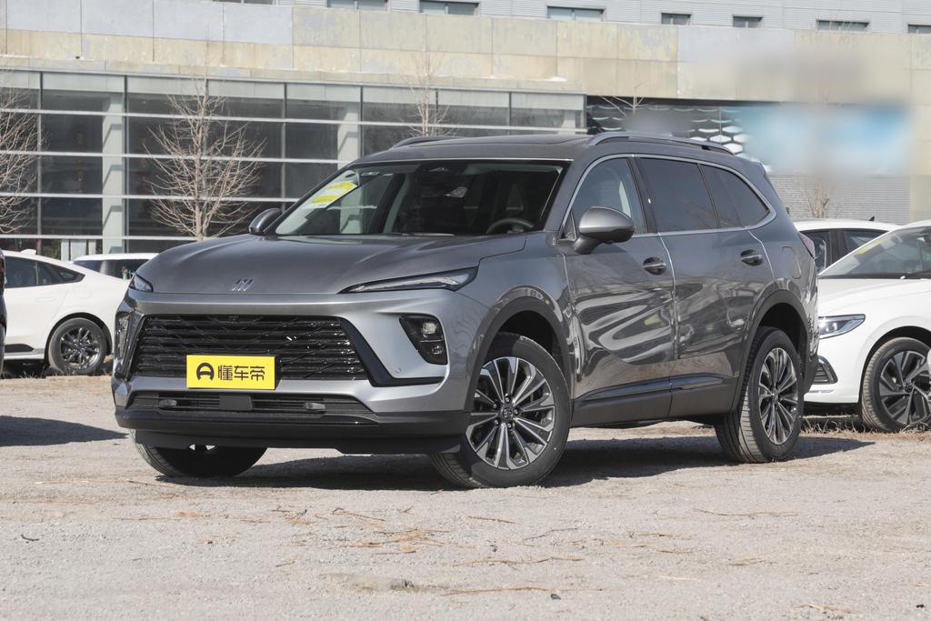 Angkewei Plus 28T Four-wheel drive Platinum Edition