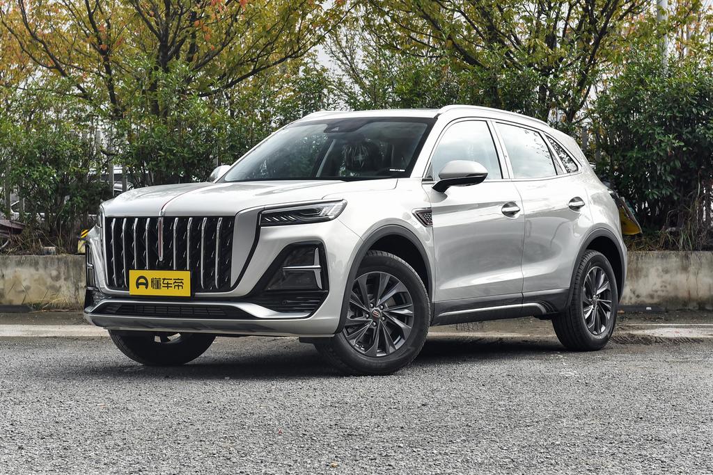 2.0T Flag Enjoy Pro Version