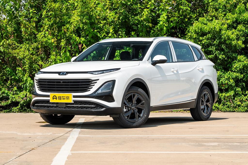 Longyao Version 1.5T Premium Type