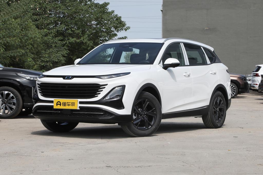 Longyao Version 1.5T Enjoy Type