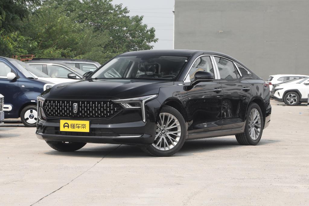 Longyao Version 1.5T Enjoy Type