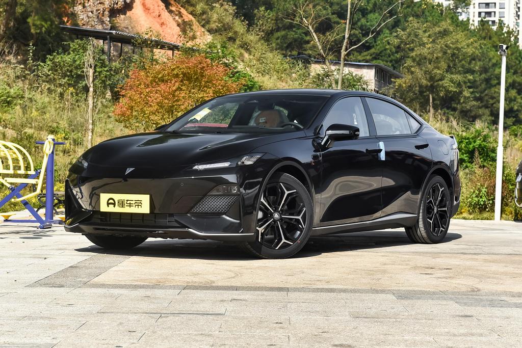 220 extended range sports type