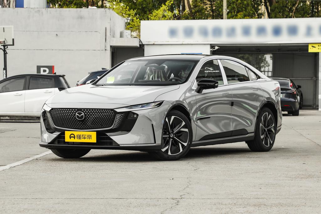 Pure Electric 600 Zhiya Edition