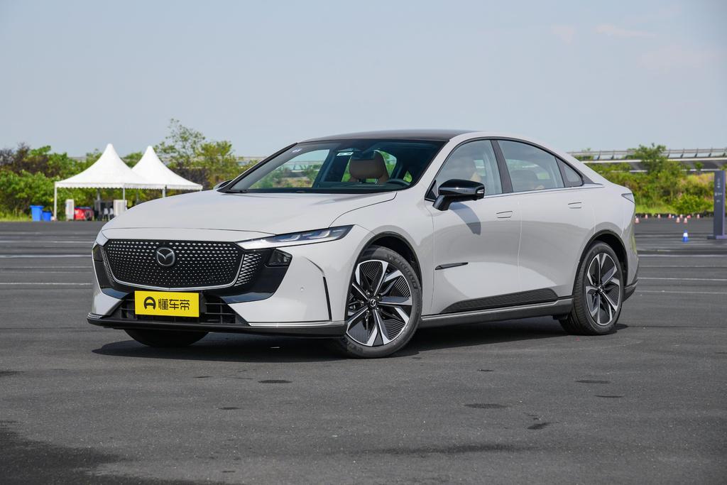 Pure Electric 600 Zhizun Edition
