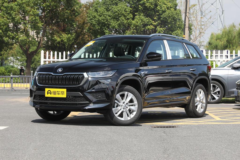 ZI330 5-seater two-wheel drive power version