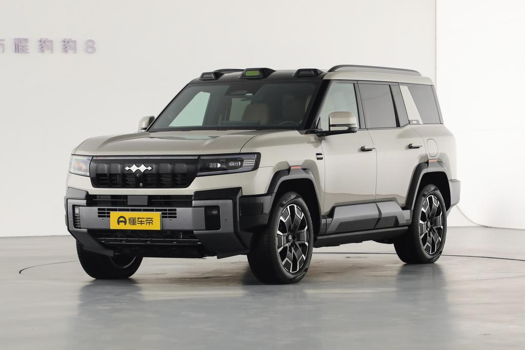 Zhiyong Ultimate Edition 6 Seats