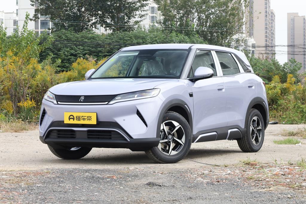 Smart driving version 401KM leading type