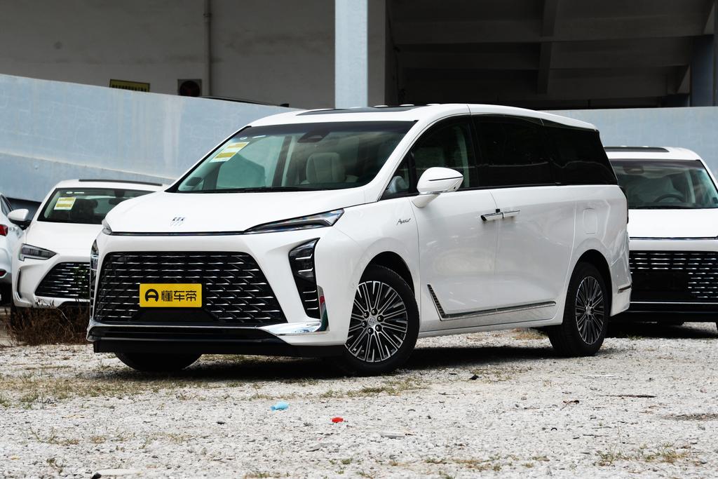 Lu Zun 2.0T Exclusive Heyue Avia Edition