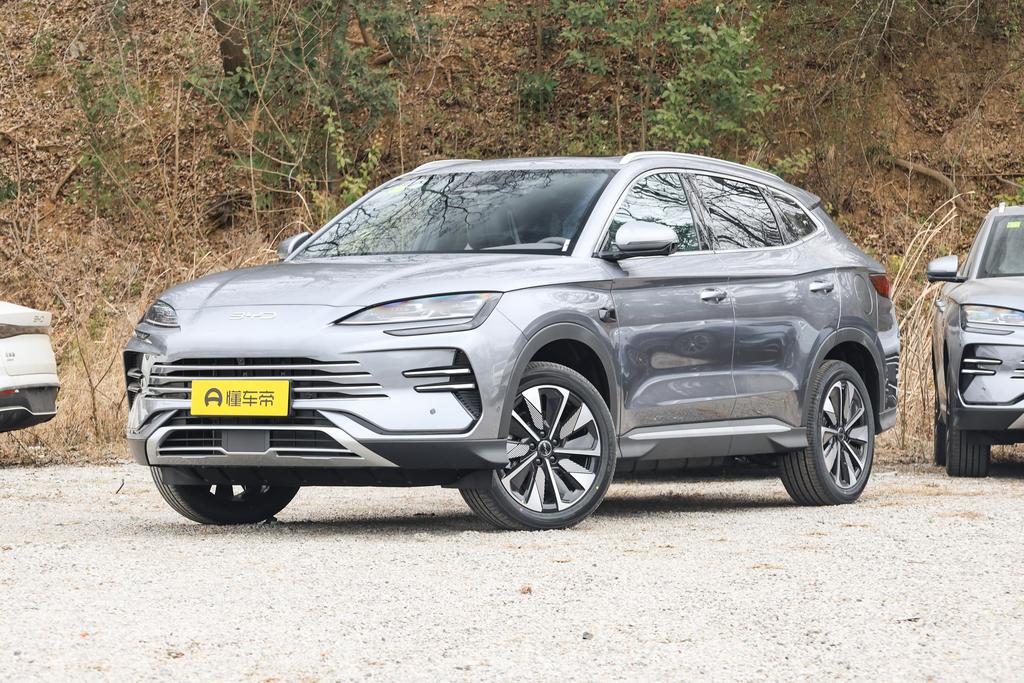 Smart driving version DM-i 112KM Premium type