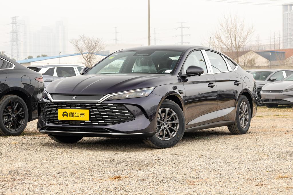 Smart driving version DM-i 80KM leading type