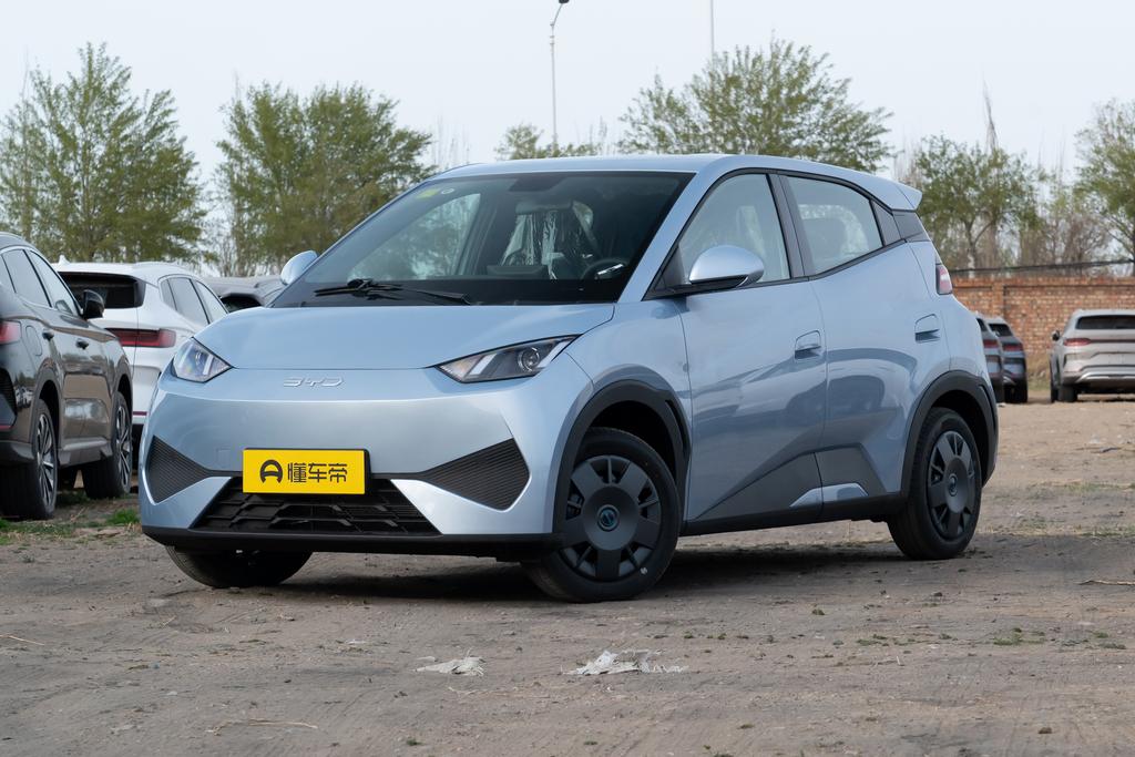 Smart Driving Version 305KM Vitality Version