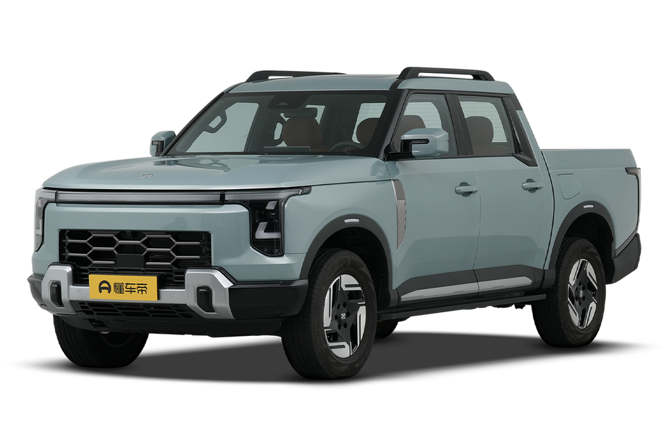 Купить Dongfeng Rich Z9 Hybrid 135KM four-wheel drive travel