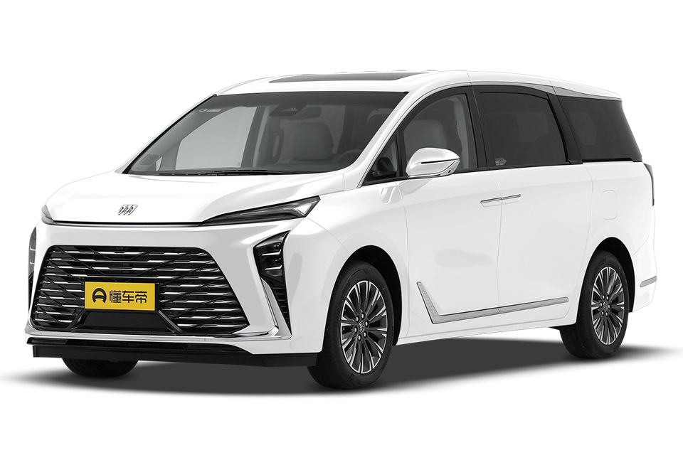 Lu Zun 2.0T Zhixiang Heyue Edition