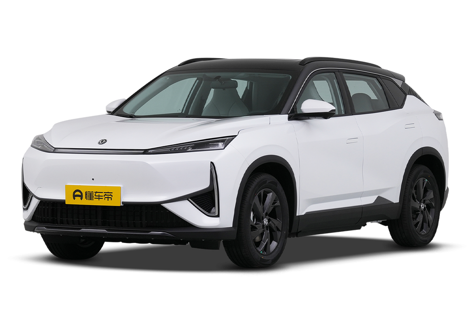 430 light enjoyment type