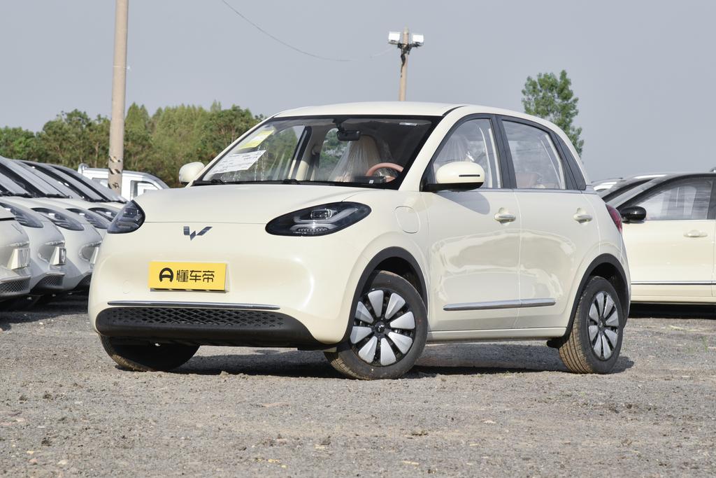 333KM Yuexiang model