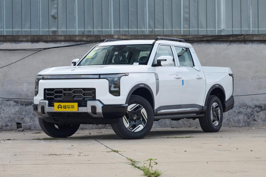 Купить Dongfeng Rich Z9 Hybrid 135KM four-wheel drive Deluxe