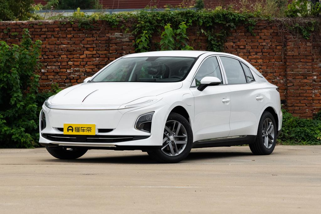 Rental power-for-electricity version