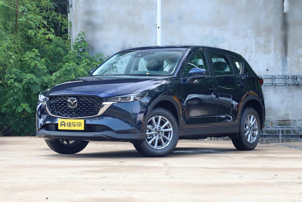 2.0L automatic two-wheel drive Zhishang Pro
