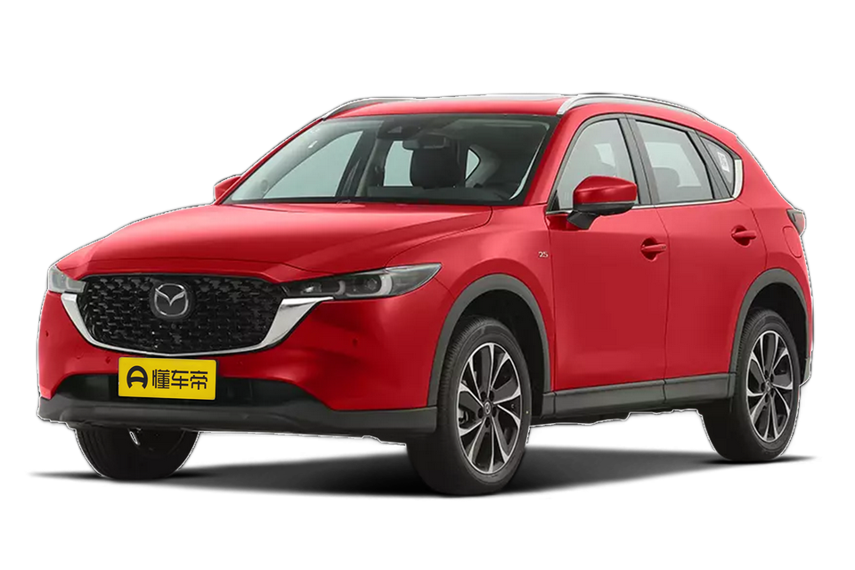 2.0L automatic two-wheel drive Zhiya type